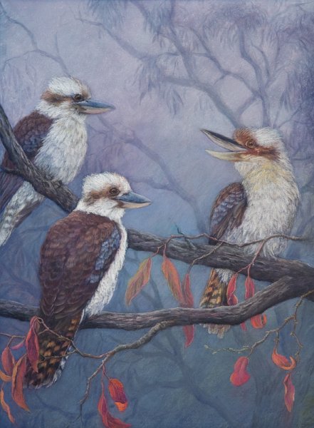 Misty morning call.jpg